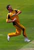 Shaun Tait 