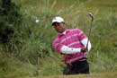 Tiger Woods