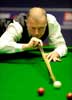 Steve Davis